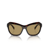 Prada PR A27S Sonnenbrillen 17N70G radica tortoise - Produkt-Miniaturansicht 1/4