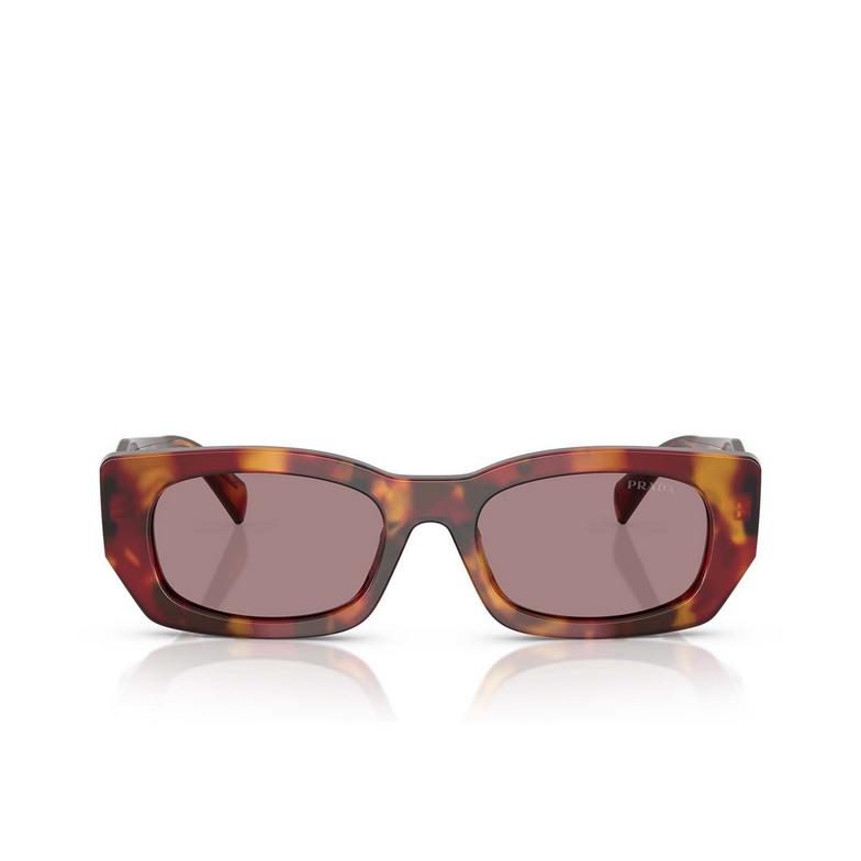 Prada PR B05S Sunglasses 22A20I poppy tortoise - 1/4