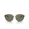 Lunettes de soleil Ralph Lauren RL8210 51345U havana - Vignette du produit 1/4