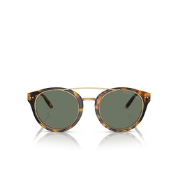 Gafas de sol Ralph Lauren RL8210 51345U havana