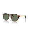 Lunettes de soleil Ralph Lauren RL8210 51345U havana - Vignette du produit 2/4