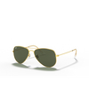 Occhiali da sole Ray-Ban AVIATOR SMALL METAL L0207 gold - anteprima prodotto 2/4