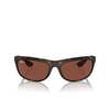 Ray-Ban BALORAMA Sunglasses 894/C5 havana - product thumbnail 1/4