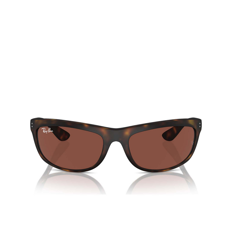 Lunettes de soleil Ray-Ban BALORAMA 894/C5 havana - 1/4