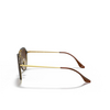 Lunettes de soleil Ray-Ban BLAZE DOUBLEBRIDGE 710/13 light havana - Vignette du produit 3/4