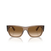 Occhiali da sole Ray-Ban CARLOS 664051 transparent light brown - anteprima prodotto 1/4