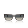 Lunettes de soleil Ray-Ban CARLOS 667571 opal dark grey - Vignette du produit 1/4