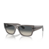 Ray-Ban CARLOS Sunglasses 667571 opal dark grey - product thumbnail 2/4