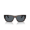 Lunettes de soleil Ray-Ban CARLOS 902/R5 havana - Vignette du produit 1/4