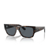 Ray-Ban CARLOS Sonnenbrillen 902/R5 havana - Produkt-Miniaturansicht 2/4