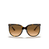 Lunettes de soleil Ray-Ban CATS 1000 710/51 light havana - Vignette du produit 1/4