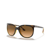 Lunettes de soleil Ray-Ban CATS 1000 710/51 light havana - Vignette du produit 2/4