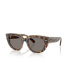 Occhiali da sole Ray-Ban DOREEN 1292B1 havana on transparent brown - anteprima prodotto 2/4