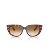 Occhiali da sole Ray-Ban DOREEN 141451 light havana on transparent multicolour - anteprima prodotto 1/4