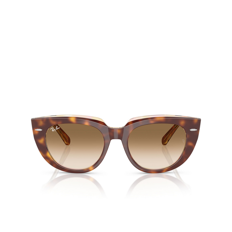 Occhiali da sole Ray-Ban DOREEN 141451 light havana on transparent multicolour - 1/4