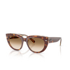 Occhiali da sole Ray-Ban DOREEN 141451 light havana on transparent multicolour - anteprima prodotto 2/4