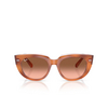 Occhiali da sole Ray-Ban DOREEN 1415A5 red havana on transparent multicolour - anteprima prodotto 1/4