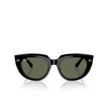 Occhiali da sole Ray-Ban DOREEN 901/31 black - anteprima prodotto 1/4