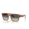 Lunettes de soleil Ray-Ban DRIFTER 140371 striped brown - Vignette du produit 2/4