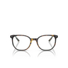 Ray-Ban ELLIOT Eyeglasses 8249 havana on transparent green - product thumbnail 1/4