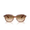 Occhiali da sole Ray-Ban ERIK 140351 striped brown - anteprima prodotto 1/4