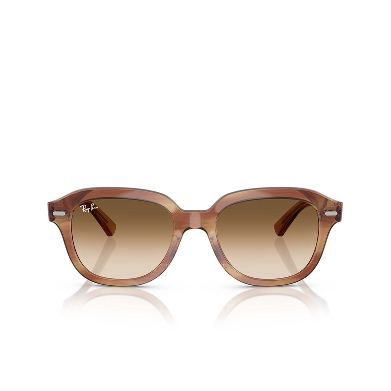 Occhiali da sole Ray-Ban ERIK 140351 striped brown - 1/4