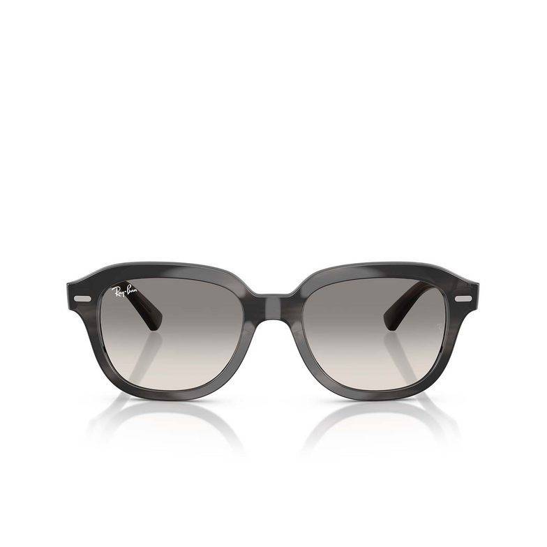 Occhiali da sole Ray-Ban ERIK 140432 striped grey - 1/4