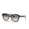 Occhiali da sole Ray-Ban ERIK 140432 striped grey - anteprima prodotto 2/4