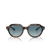 Ray-Ban GINA Sonnenbrillen 14133M dark havana on multicolour - Produkt-Miniaturansicht 1/4