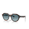 Ray-Ban GINA Sonnenbrillen 14133M dark havana on multicolour - Produkt-Miniaturansicht 2/4