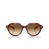 Occhiali da sole Ray-Ban GINA 141451 light havana on multicolour - anteprima prodotto 1/4