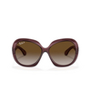 Occhiali da sole Ray-Ban JACKIE OHH II 6593T5 transparent dark brown - anteprima prodotto 1/4