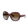 Occhiali da sole Ray-Ban JACKIE OHH II 6593T5 transparent dark brown - anteprima prodotto 2/4