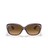 Ray-Ban JACKIE OHH Sunglasses 6593M2 transparent dark brown - product thumbnail 1/4
