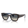 Ray-Ban JORGE Sonnenbrillen 140171 havana grey on blue - Produkt-Miniaturansicht 2/4