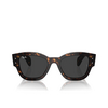 Lunettes de soleil Ray-Ban JORGE 902/48 havana - Vignette du produit 1/4