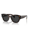 Occhiali da sole Ray-Ban JORGE 902/48 havana - anteprima prodotto 2/4