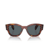 Lunettes de soleil Ray-Ban JORGE 954/R5 striped havana - Vignette du produit 1/4