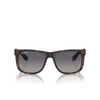 Lunettes de soleil Ray-Ban JUSTIN 865/8S havana - Vignette du produit 1/4