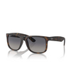 Lunettes de soleil Ray-Ban JUSTIN 865/8S havana - Vignette du produit 2/4