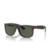 Ray-Ban JUSTIN Sunglasses 865/9A havana - product thumbnail 2/4