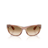 Occhiali da sole Ray-Ban MEGA BALORAMA 140351 striped brown - anteprima prodotto 1/4