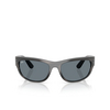 Occhiali da sole Ray-Ban MEGA BALORAMA 1404R5 striped gray - anteprima prodotto 1/4