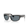 Occhiali da sole Ray-Ban MEGA BALORAMA 1404R5 striped gray - anteprima prodotto 2/4