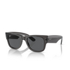 Ray-Ban MEGA WAYFARER Sunglasses 1406B1 transparent black - product thumbnail 2/4