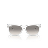 Ray-Ban NEW WAYFARER Sunglasses 677432 transparent - product thumbnail 1/4