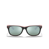 Ray-Ban NEW WAYFARER Sunglasses F63830 black - product thumbnail 1/4