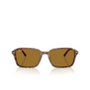 Occhiali da sole Ray-Ban RAIMOND 141833 transparent fantasy brown - anteprima prodotto 1/4