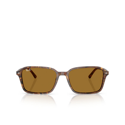 Ray-Ban RAIMOND Sunglasses 141833 transparent fantasy brown