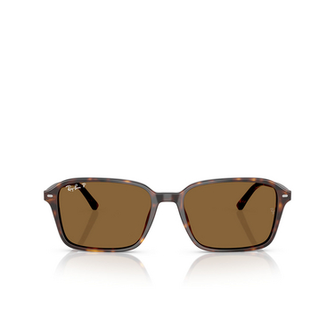 Ray-Ban RAIMOND Sonnenbrillen 902/57 havana - Vorderansicht